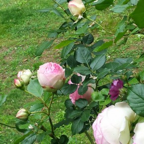 20140519_121012