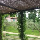 FESTA DELLE ROSE A CASACOCO’ – Conto alla rovescia…