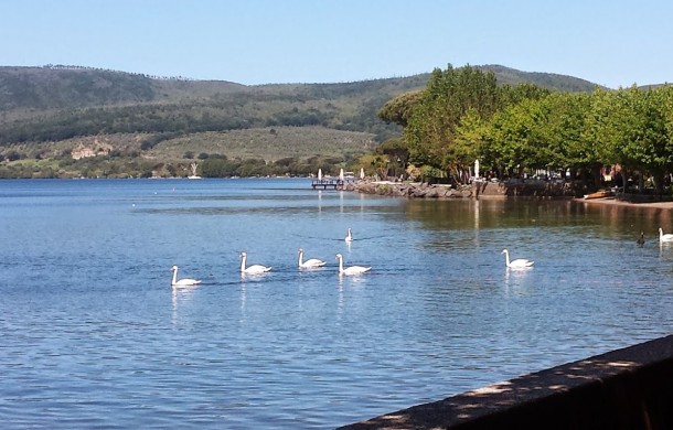Nasce il progetto: LE TERRE DEL LAGO