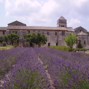 provenza_camargue